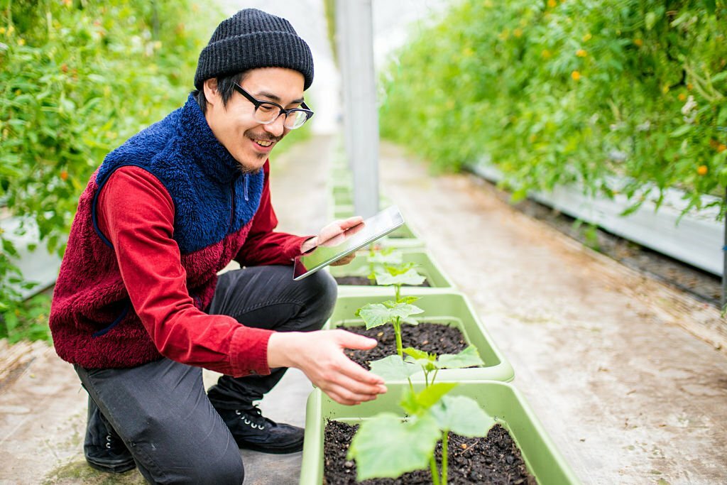 History, Indigenous & Sustainability Studies