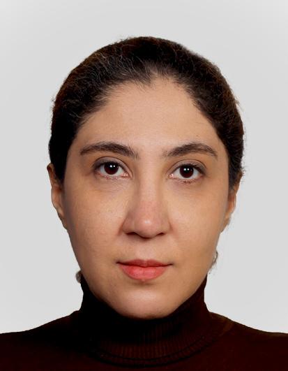 Sepideh Faghihi